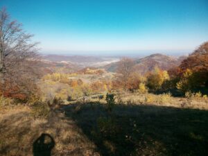 Imprejurimi Natura